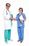 Senior Doctors Shaking Hands Stock Photo