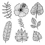 Set Of Botanical  Illustrations, Hand Drawn Style Stock Photo