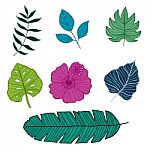 Set Of Botanical  Illustrations,  Illustration Stock Photo