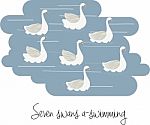 Seven Swans A-swimming Stock Photo
