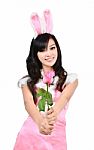 Sexy Bunny Girl Hold Pink Rose Stock Photo