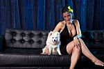 Sexy Widow Woman In Black Dres With White Dog On Couch Stock Photo