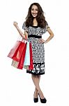 Shopping Woman Happy Smiling Carrying Bags Stock Photo