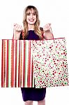 Shopping Woman Holding Bags Stock Photo