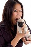 Shouting Female Holding Puppy Stock Photo