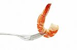 Shrimp On Fork Isolated On White Background Stock Photo