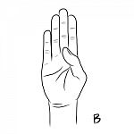 Sign Language And The Alphabet,the Letter B Stock Photo