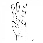 Sign Language And The Alphabet,the Letter W Stock Photo