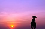 Silhouette Elephant With Tourist At Sunset Stock Photo