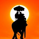 Silhouette Elephant With Tourist At Sunset Stock Photo