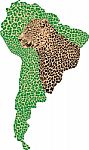 Silhouette Of South America With Camouflage Jaguar Stock Photo