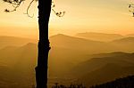 Silhouette Tree With Sunrise Background Stock Photo