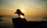 Silhouette Yoga Girl By The Beach At Sunrise Stock Photo