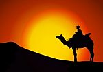 Silhouettes Of Camels At Sunset Stock Photo