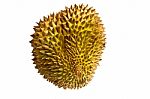 Single Whole Durian Isolated On White Background Stock Photo