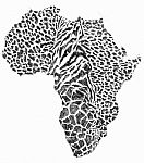 Sketch Of Africa With Animal Camouflage Stock Photo