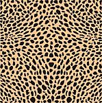 Skin Cheetah Texture Stock Photo