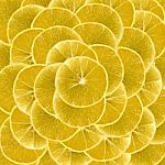Slices Of Vibrant Lemon For Backgrounds Stock Photo