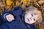 Small Blond Boy With Blue Eyes Lays On Bed Of Autumn Fallen Leav Stock Photo