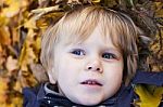 Small Blond Boy With Blue Eyes Lays On Bed Of Autumn Fallen Leav Stock Photo