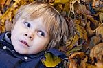 Small Blond Boy With Blue Eyes Lays On Bed Of Autumn Fallen Leav Stock Photo