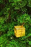 Small Gift Box On Pine Stock Photo