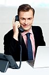 Smart Businessman Communicating On Phone Stock Photo