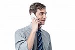 Smart Businessman Talking In His Mobile Phone Stock Photo