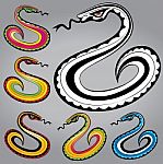 Snake Body Silhouette Design  Illustration Stock Photo