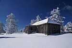 Snowy tree and house Stock Photo