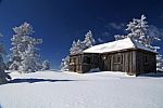 Snowy tree and house Stock Photo