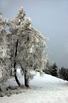 Snowy Winter Trees In The Mountains Stock Photo