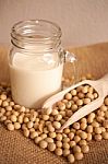 Soy Milk And Soy Beans Stock Photo