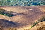 Spring Arable Land. Spring Wavy Agriculture Scene. Rural Landsca Stock Photo