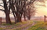 Spring Countryside Sunset. Old Country Road In The Park Stock Photo