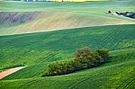 Spring Fields. Green Waves. Czech Moravia Hills Stock Photo