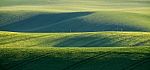 Spring Green Fields. Beautiful Wavy Spring View. Spring Rolling Stock Photo