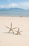 Starfish Standing On The Beach Stock Photo