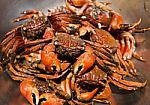 Steam Crabs Stock Photo