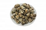 Steamed Blanched Clams Stock Photo