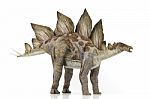 Stegosaurus Stock Photo