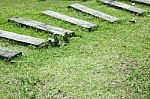 Step Of Walkway In The Garden Stock Photo