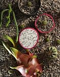 Still Life Of Dragon Fruit Stock Photo