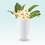 Still Life Of Frangipani And White Glay Stock Photo