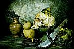 Still Life With A Skull Stock Photo