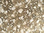 Stone Texture Background Stock Photo