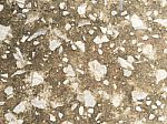 Stone Texture Background Stock Photo