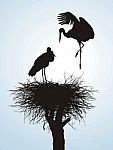 Storks In Nest Stock Photo