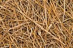 Straw Background Stock Photo