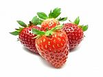 Strawberries Stock Photo